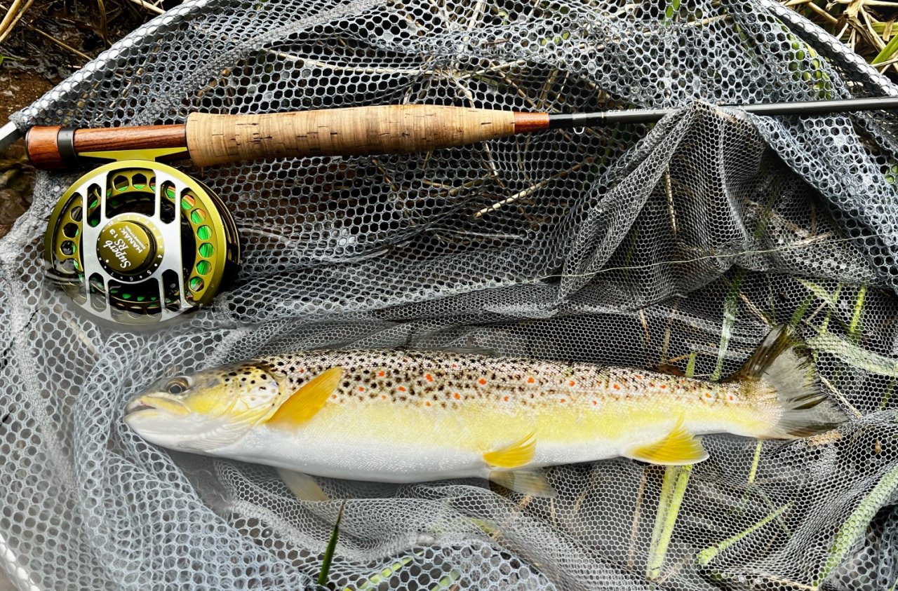 Summer Fly Fishing On Rivers In The Giant Mountains