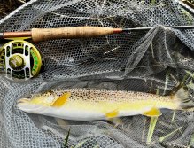 Summer Fly Fishing On Rivers In The Giant Mountains