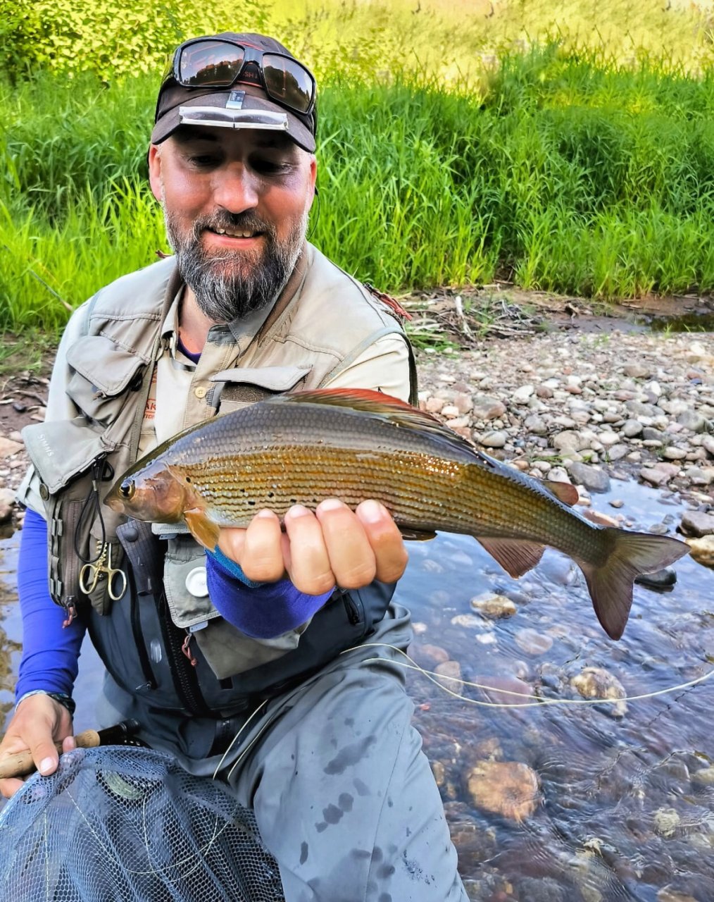 Summer Fly Fishing On Rivers In The Giant Mountains