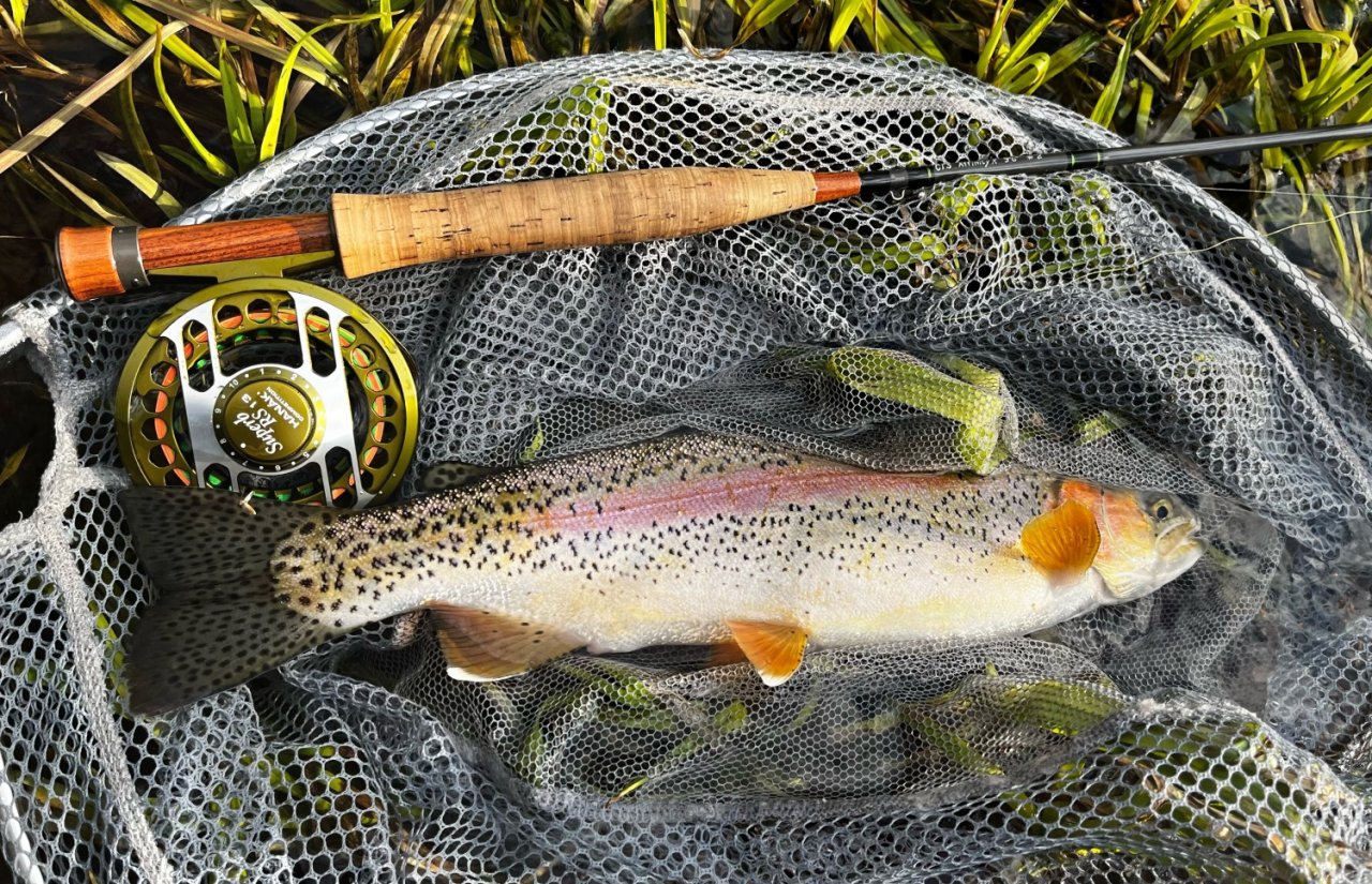 Summer Fly Fishing On Rivers In The Giant Mountains