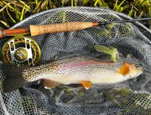 Summer Fly Fishing On Rivers In The Giant Mountains