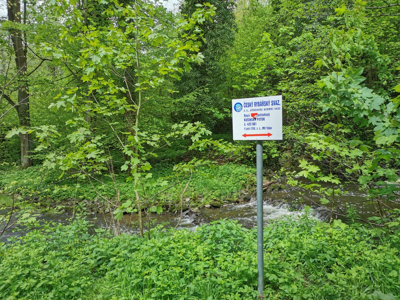Kosinsky stream near Tabor, Czech Republic