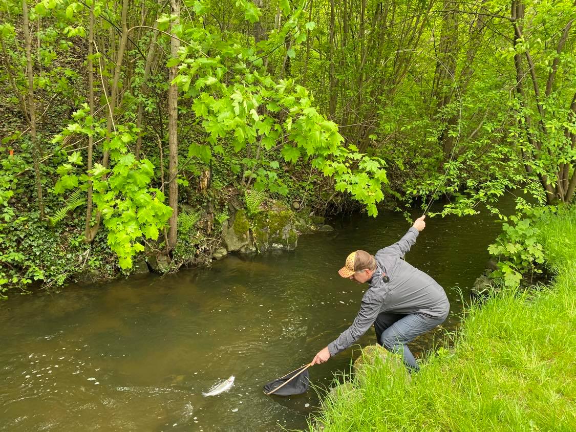 Kosinsky stream near Tabor, Czech Republic