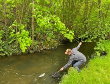 Kosinsky stream near Tabor, Czech Republic