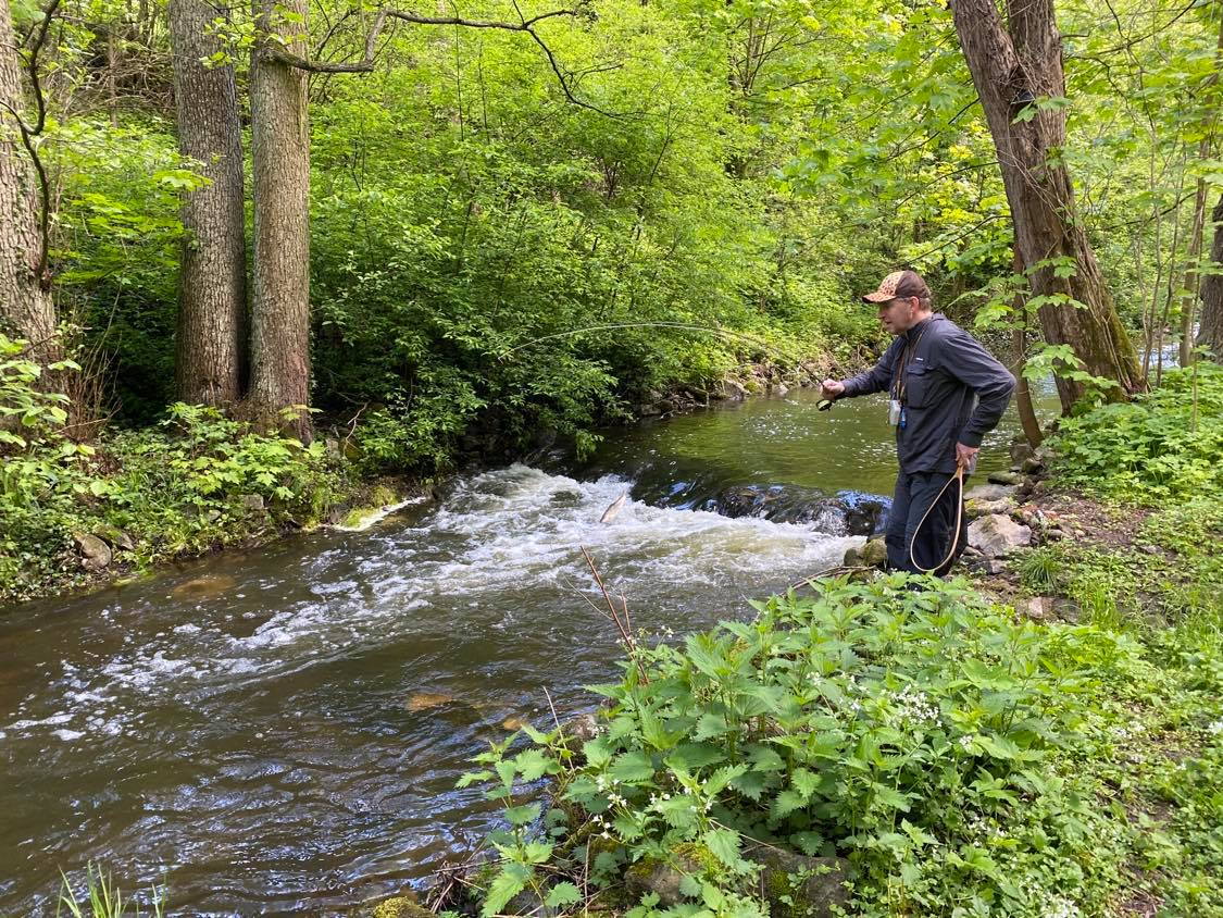Kosinsky stream near Tabor, Czech Republic