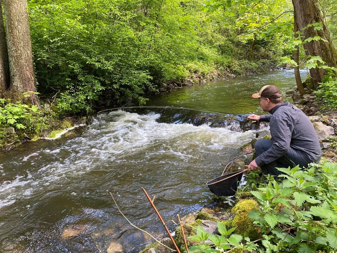 Kosinsky stream near Tabor, Czech Republic