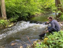 Kosinsky stream near Tabor, Czech Republic