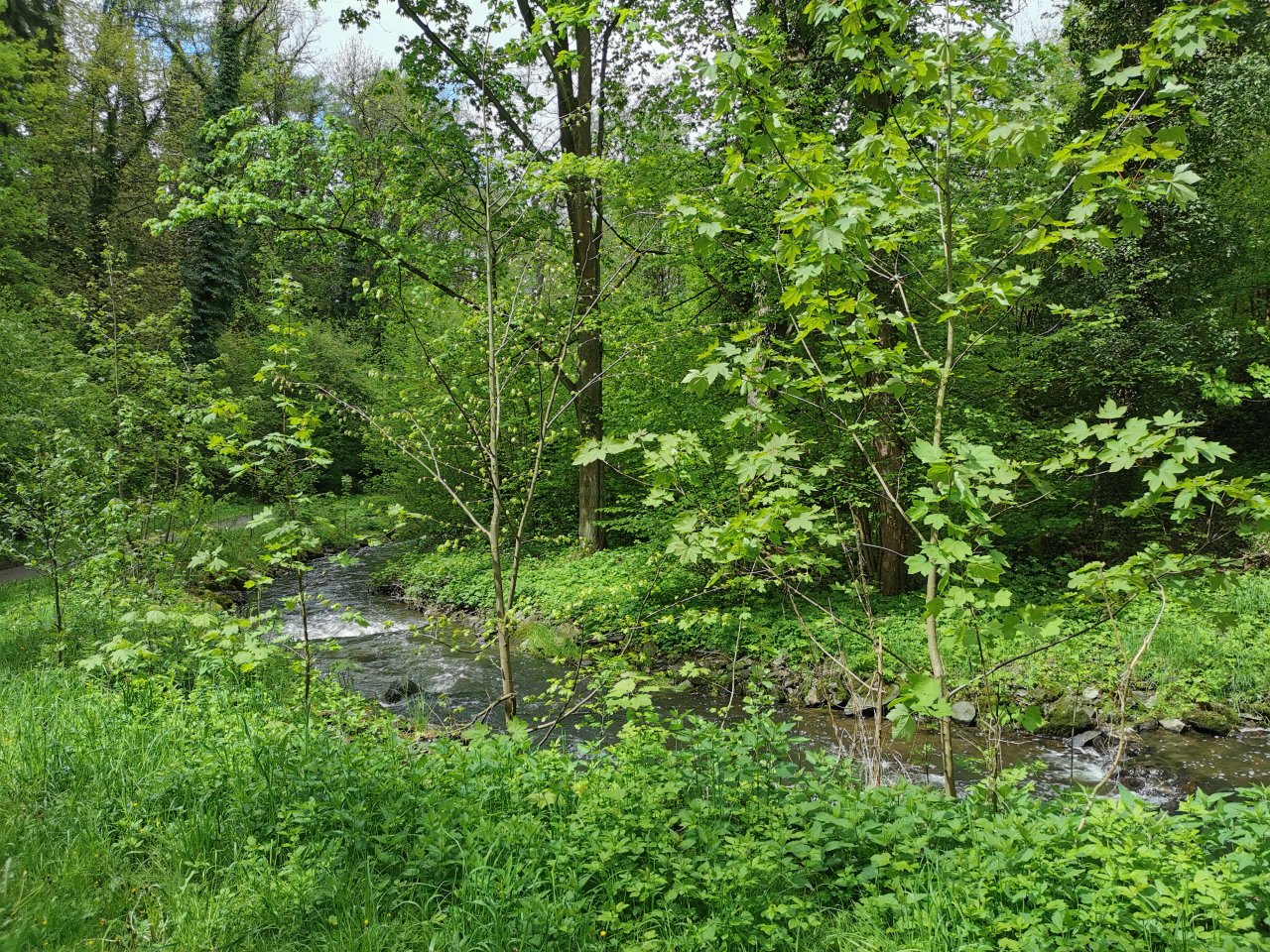 Kosinsky stream near Tabor, Czech Republic