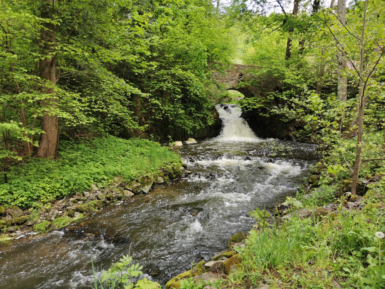 Kosinsky stream near Tabor, Czech Republic