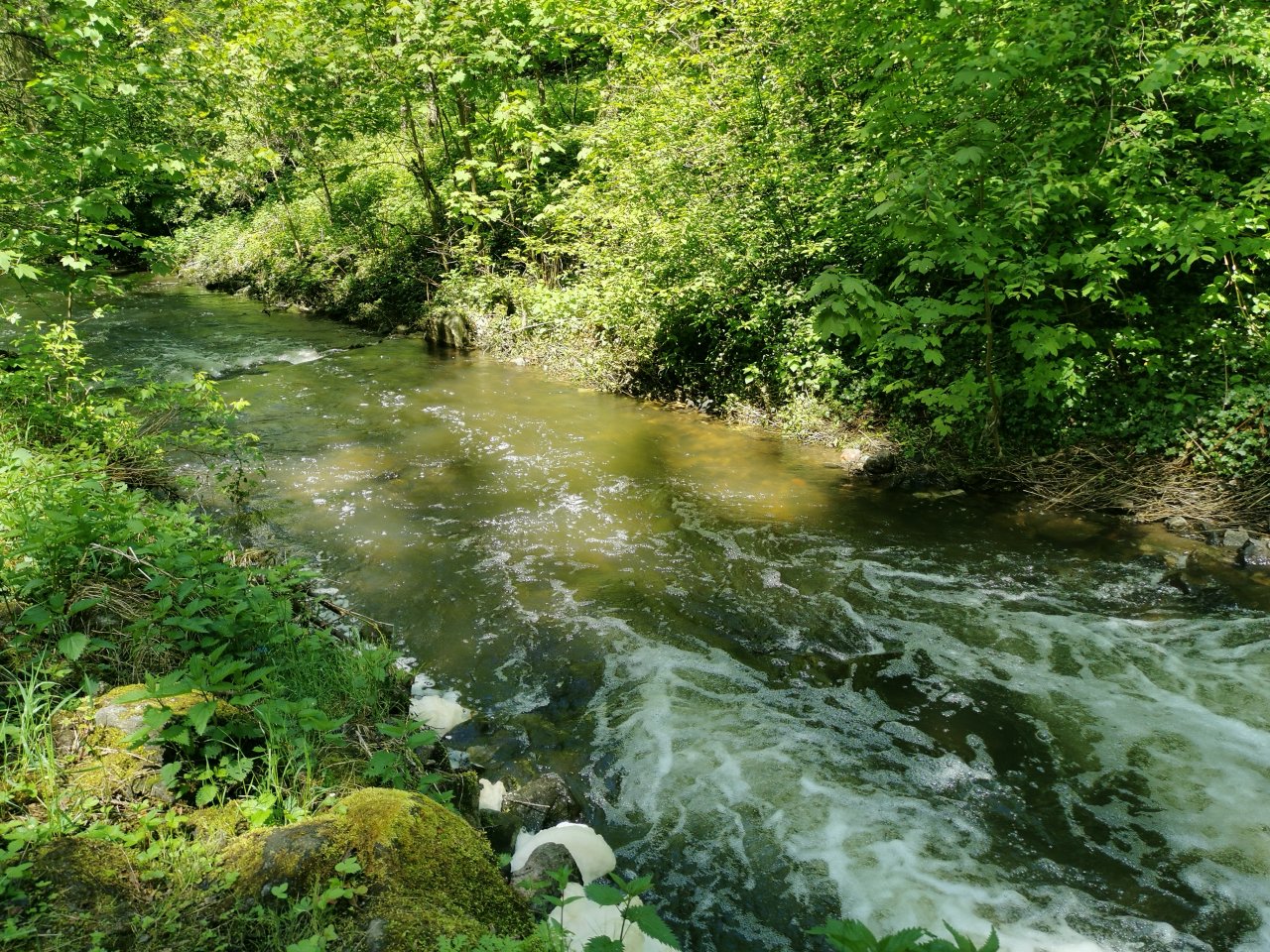 Kosinsky stream near Tabor, Czech Republic