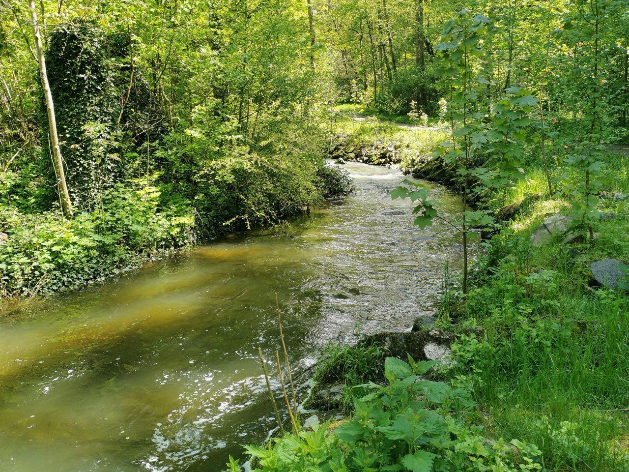 Kosinsky stream near Tabor, Czech Republic
