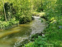 Kosinsky stream near Tabor, Czech Republic