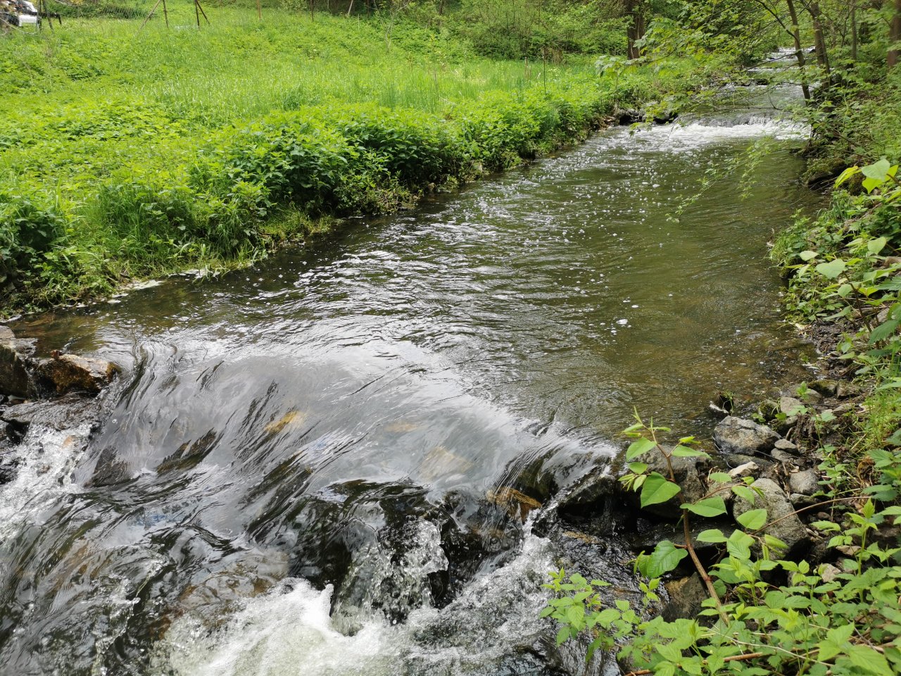 Kosinsky stream near Tabor, Czech Republic