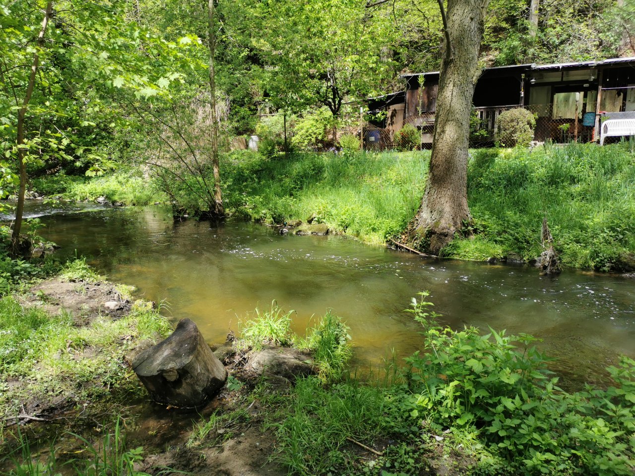 Kosinsky stream near Tabor, Czech Republic