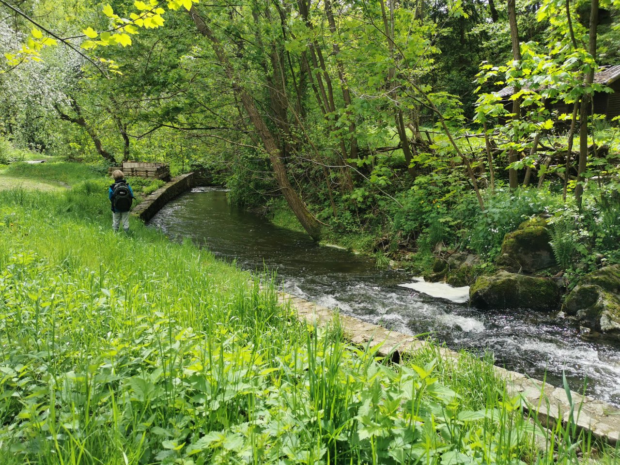Kosinsky stream near Tabor, Czech Republic