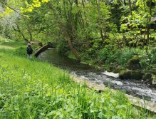 Kosinsky stream near Tabor, Czech Republic
