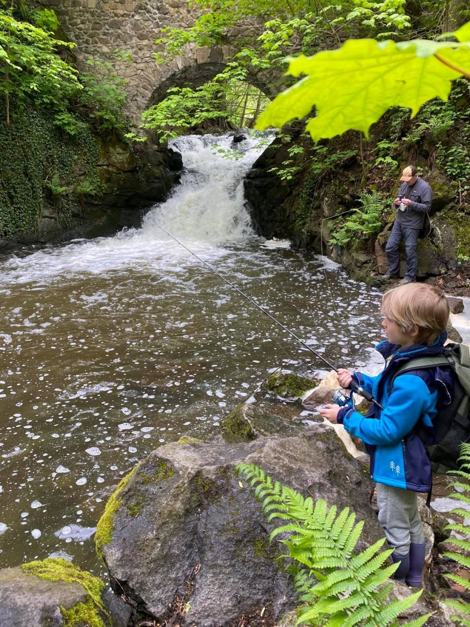 Kosinsky stream near Tabor, Czech Republic