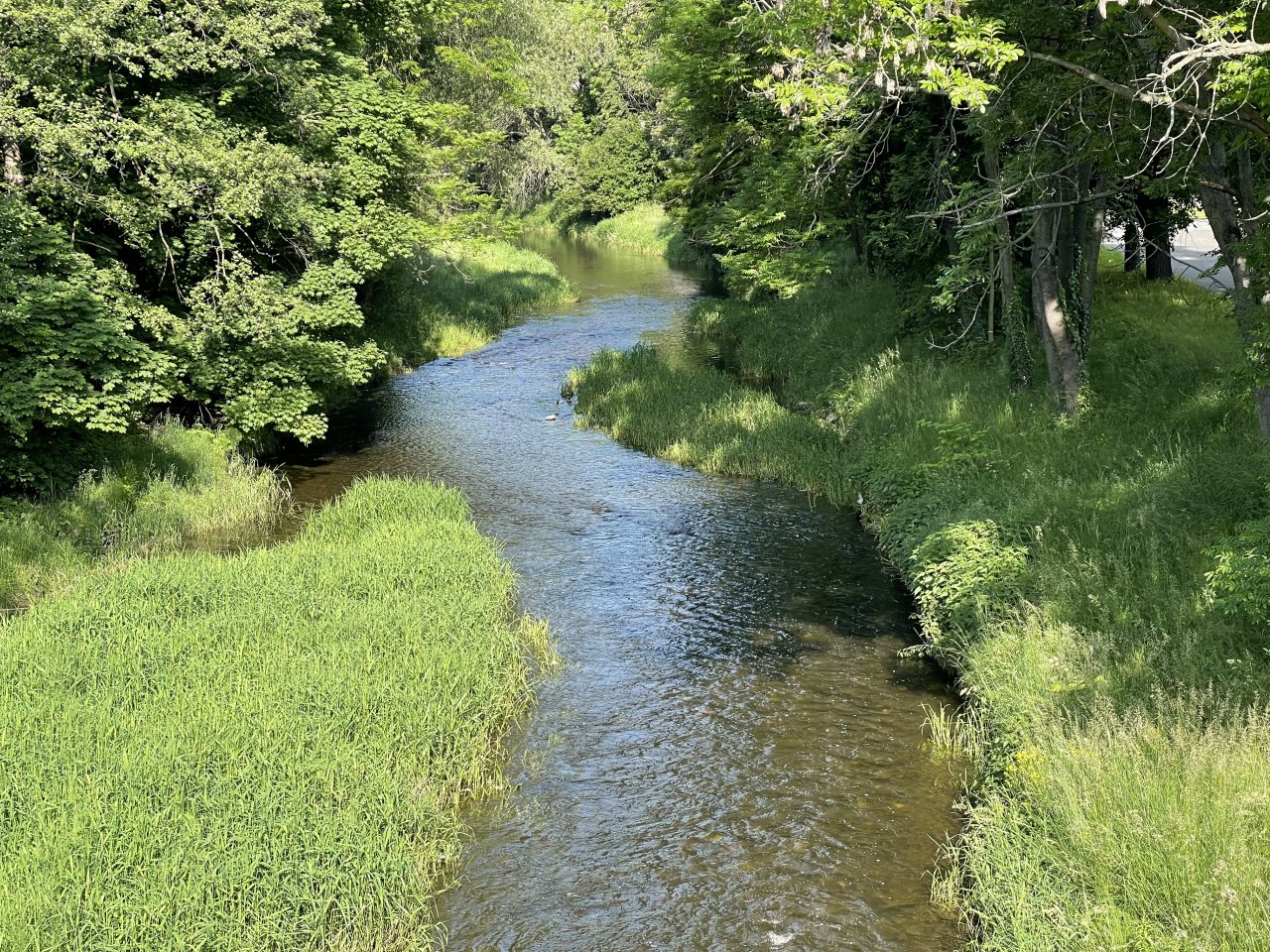 Byst�ice Han�ck� in Olomouc