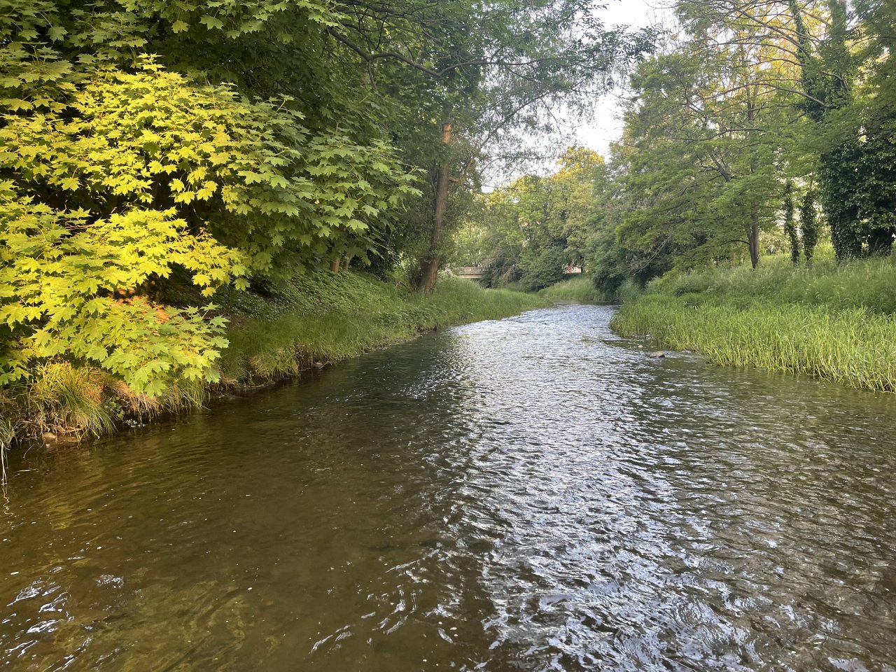 Byst�ice Han�ck� in Olomouc