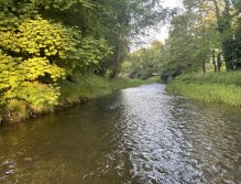 Bystřice Hanácká in Olomouc