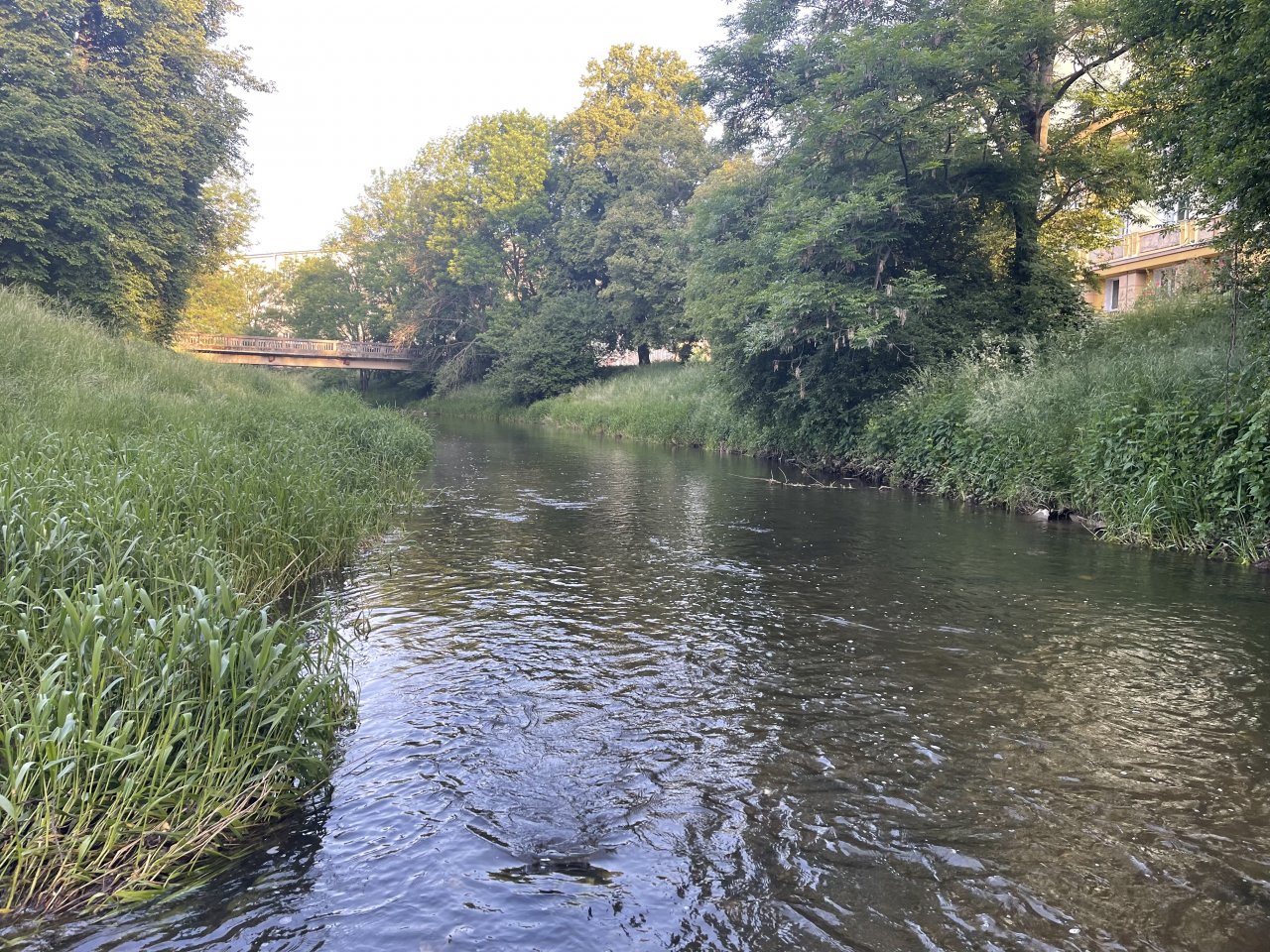 Byst�ice Han�ck� in Olomouc