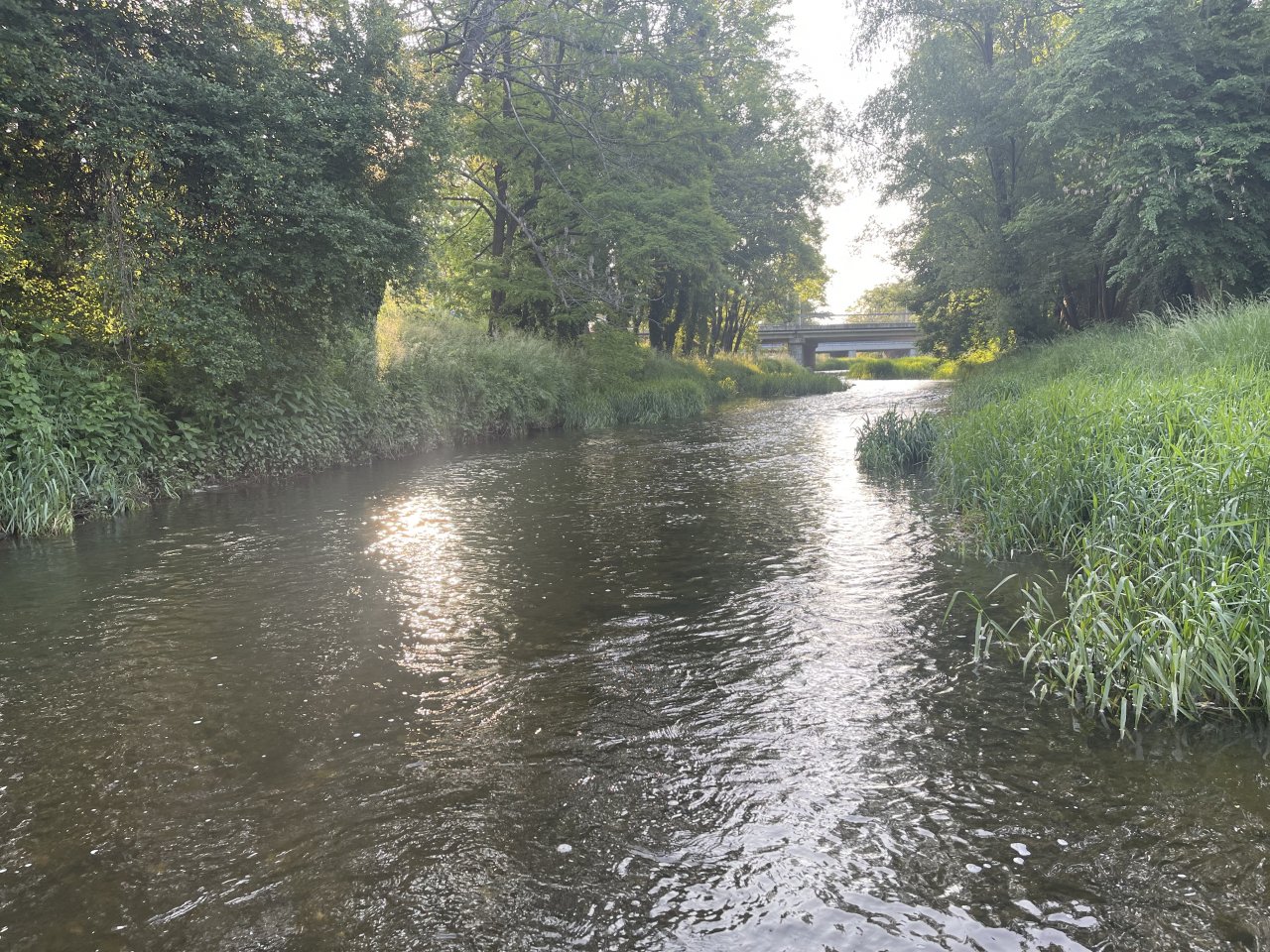 Byst�ice Han�ck� in Olomouc