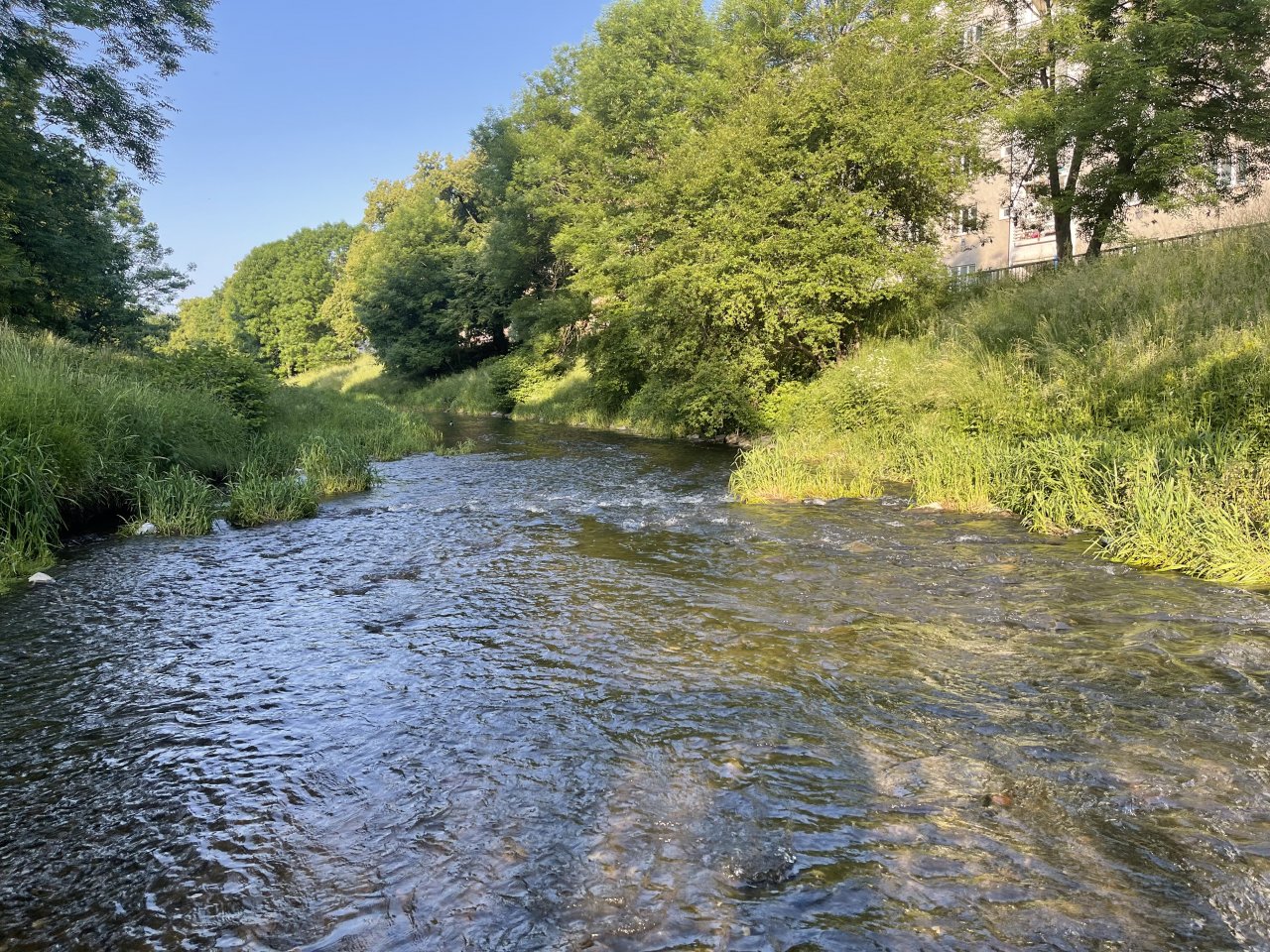 Byst�ice Han�ck� in Olomouc