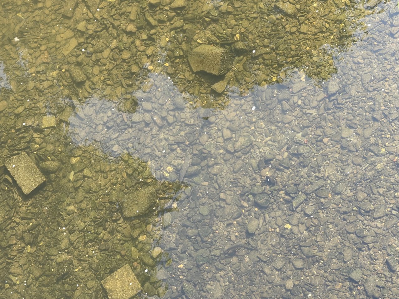 Byst�ice Han�ck� in Olomouc