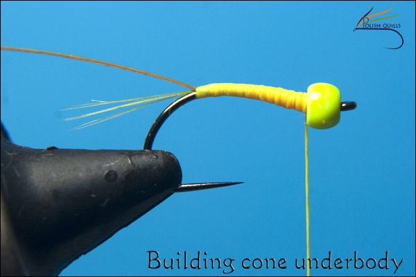 Building Cone Underbody