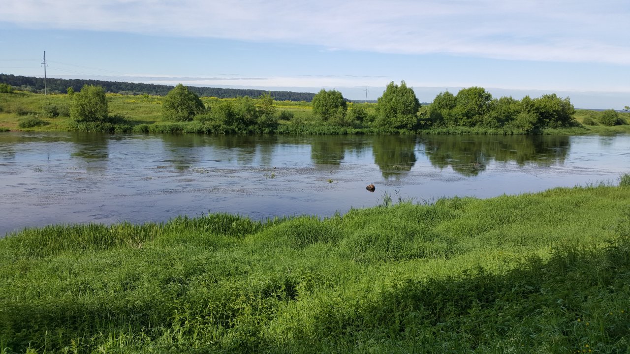 Moscow River chub stretch
