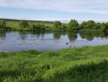 Moscow River chub stretch