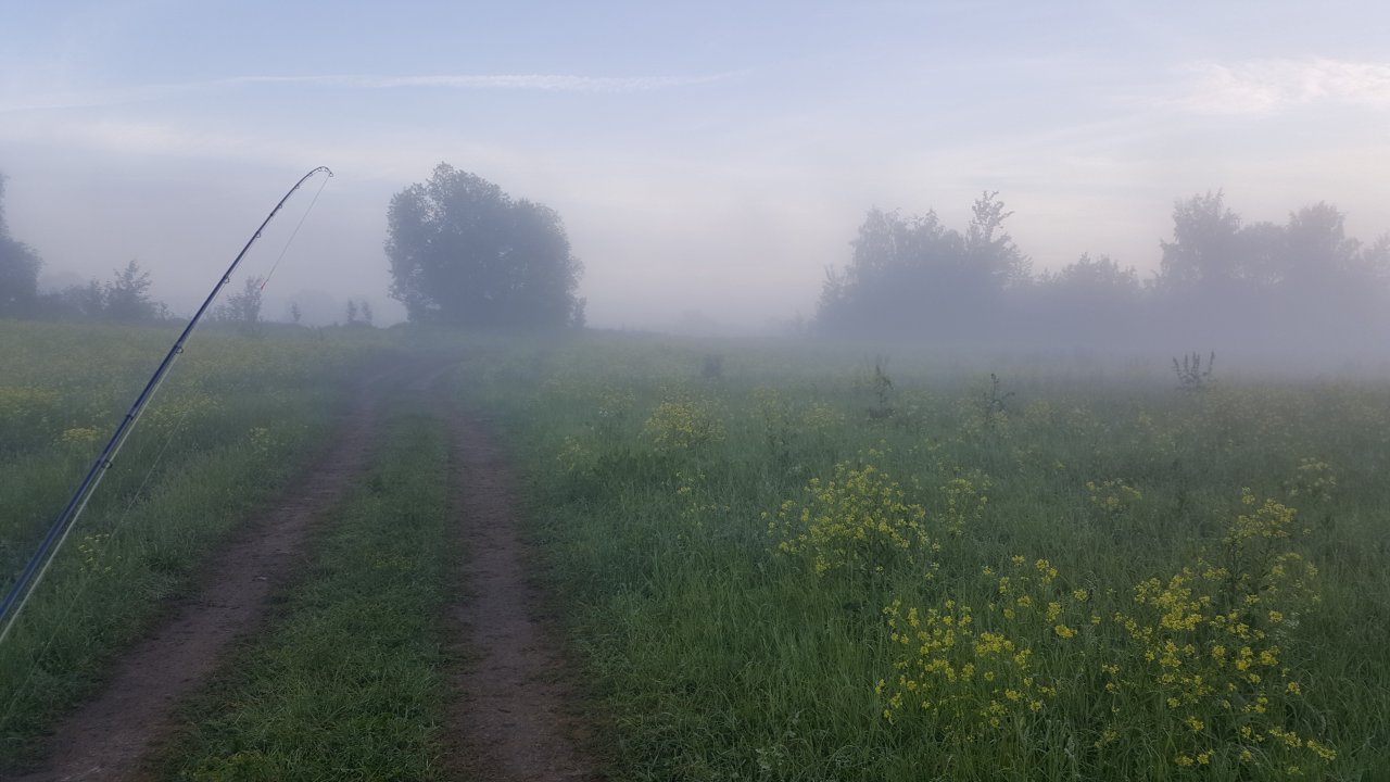 Mist coming from Moscow river