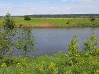 Fly Fishing Moscow river, Russia