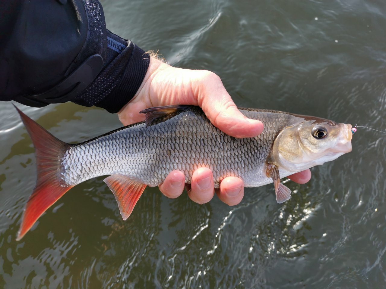 Nice Ide from LItavka