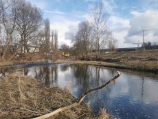 Winter Fly Fishing, Litavka stream, Czech Republic