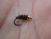 AR Gold Head Hare's Ear - Great fly for all year round grayling fishing!
