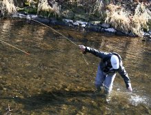 Almost end of the fight!