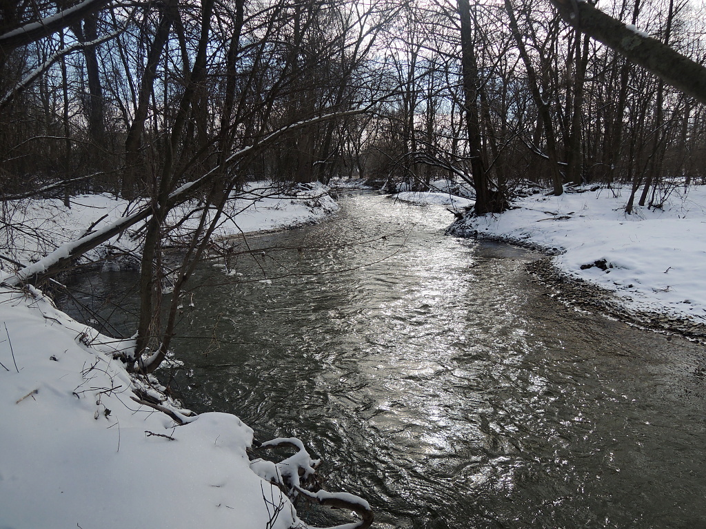Nice piece of a grayling river in the middle of nowhere.