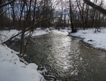 Nice piece of a grayling river in the middle of nowhere.