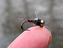 Ouch... Gotcha! Tungsten PTN - The perfect grayling nymph!