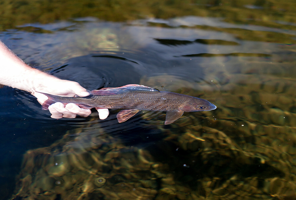 See you, my beautiful friend!