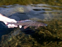 See you, my beautiful friend!