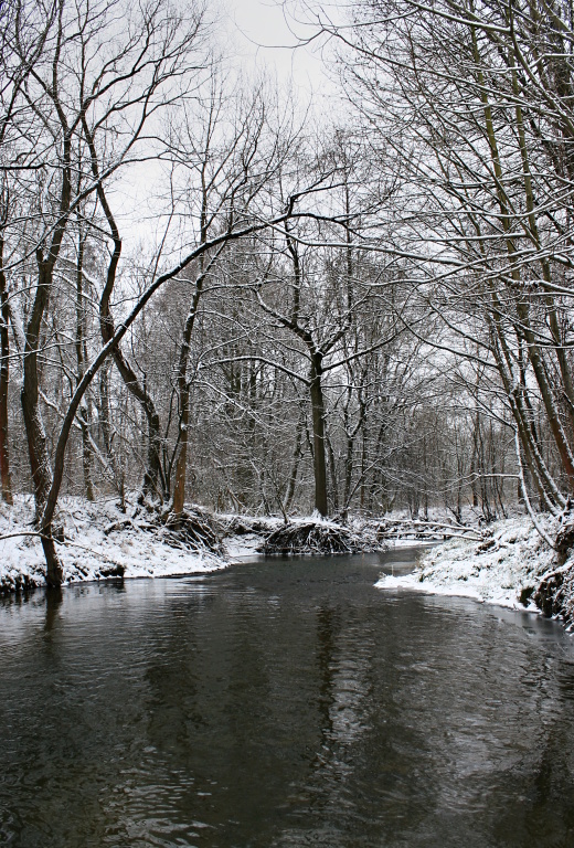 The charm of a snow-covered forest stream is completely disarming. Of course, when wading through icy water, you can freeze, and you should not expect any fishing orgies - every fish is a success, but staying in such nature is absolutely magical!