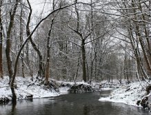 The charm of a snow-covered forest stream is completely disarming. Of course, when wading through icy water, you can freeze, and you should not expect any fishing orgies - every fish is a success, but staying in such nature is absolutely magical!