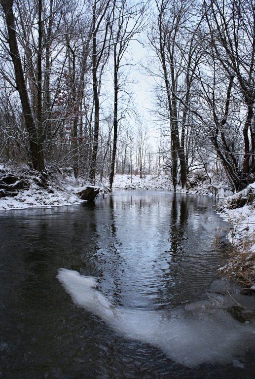 Another beautiful corner of a forgotten forest stream, which hides many surprises in its pools. The ice belt clearly shows how cold the water is. In such cases, the freezing of the eye rings and fly line will make the fishing more harder and annoying!
