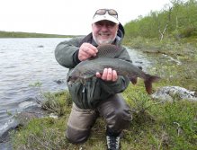 52 cm grayling caught on dry mayfly