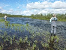 Brownee bending the rod