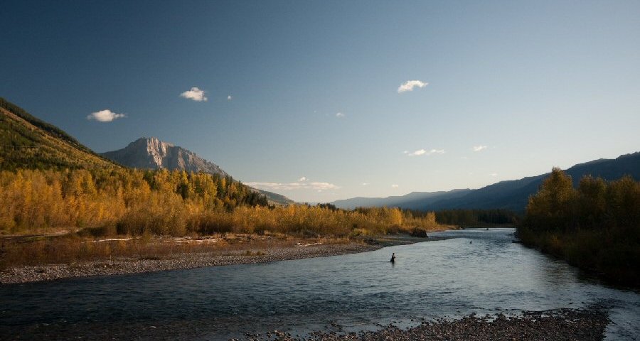 The Elk River, BC, Fly Fishing