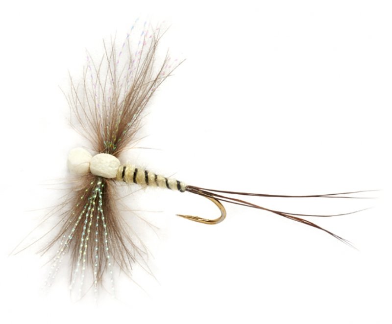 Procter's Twinkle Wing Spinner