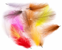 CDC Feathers